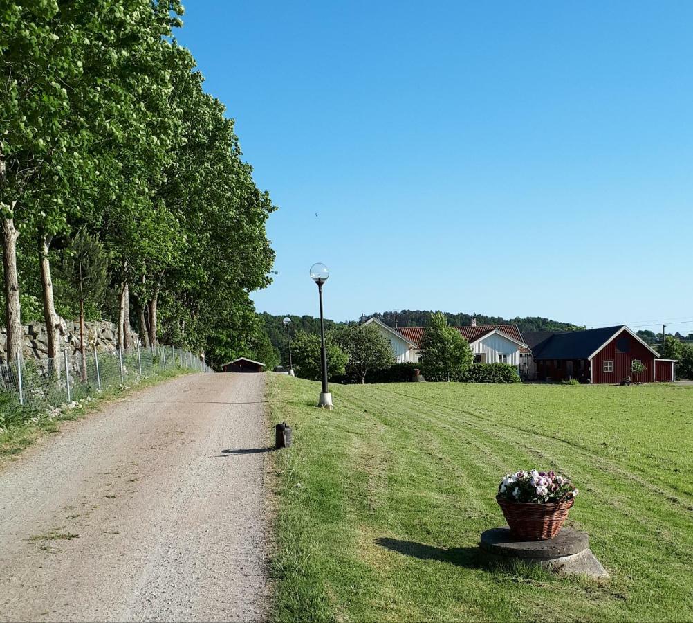 Stenaberg Kungsbacka Bagian luar foto