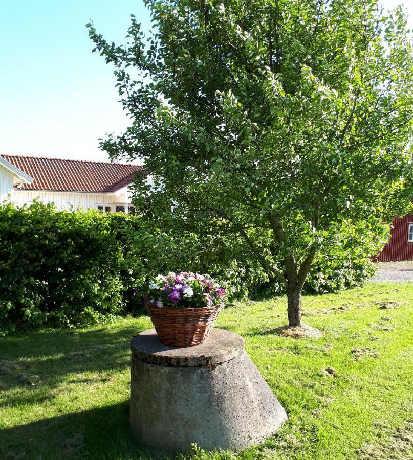 Stenaberg Kungsbacka Bagian luar foto