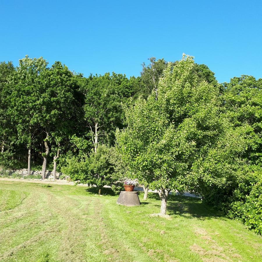 Stenaberg Kungsbacka Bagian luar foto